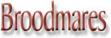 Broodmares